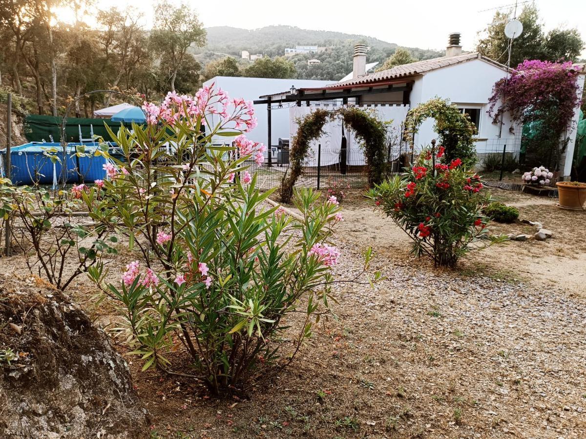 Chalet En Entorno Natural De La Costa Brava Bell-Lloc  Luaran gambar
